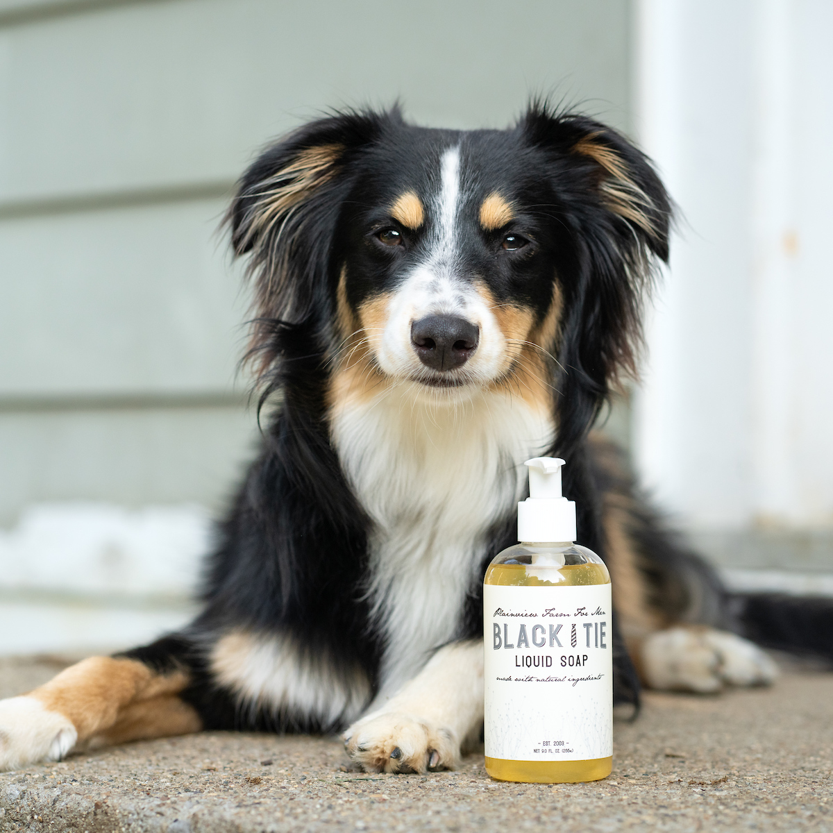 Black Tie Liquid Soap